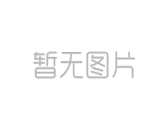 山东:启动2023年“国聘行动”