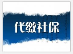 代办社会保险网上申报、缴费等业务